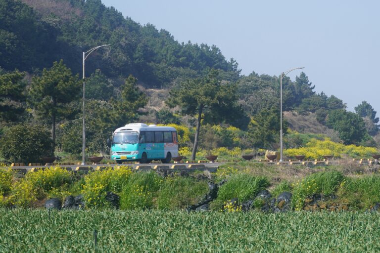 Bus travelling through a rural town.